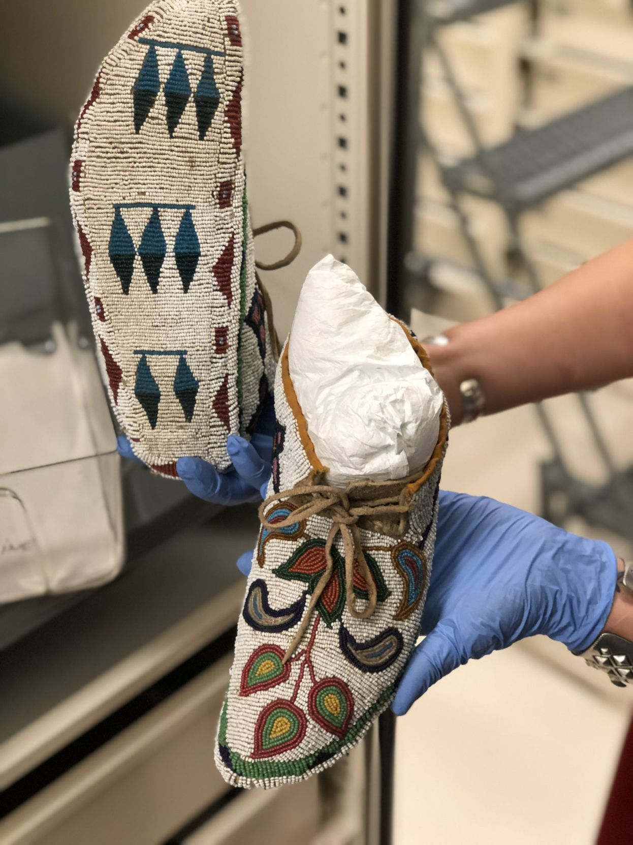 Research at Field Museum